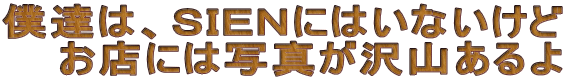 �l�B�́A�r�h�d�m�ɂ͂��Ȃ����� ���X�ɂ͎ʐ^����R�����